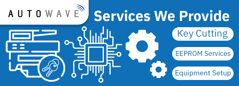 Services We Provide